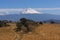 Popocatepetl volcano with clouds, mexico V