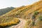 Poppies along the Walker Canyon Trail in Lake Elsinore, California