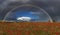 Poppies in bloom in a field under a spectacular rainbow in rural Suffolk