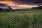Poppies field on sunset