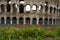 Poppies in front of Colliseum