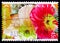 Poppies, Greetings Stamps serie, circa 1994