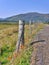 Poppies growing below wooden fence, hills beyond, Highlands, Scotland