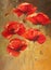 Poppies handmade painting