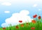 Poppies Meadow background