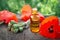 Poppies, poppy flower heads and bottle of infusion.