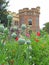 Poppies poppy seed pods growing in castle fort park garden grounds parks fields meadow