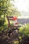 Poppies and strawberrie on a vintage wooden chair in the garden