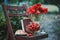 Poppies and strawberrie on a vintage wooden chair in the garden