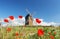The poppies and windmill