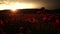 Poppy bloom field, panorama, Nature sunset. Remembrance. Poppies and wildflower meadow landscaped, outdoors. Vivid