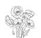 Poppy bouquet. Line art poppies flower sketch drawing wall artwork decorative plant poppy flower bud planting floral
