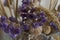 Poppy boxes, dry violet flowers and gold spike. Still life