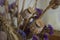 Poppy boxes, dry violet flowers and gold spike. Still life