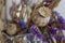 Poppy boxes, dry violet flowers and gold spike. Still life