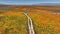 Poppy California Super Bloom Aerial Shot Forward Antelope Valley - Filmed outside of Poppy Reserve California USA