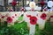 Poppy Cross, Remembrance day display