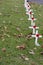 Poppy Crosses