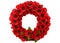 A Poppy day great remembrance war world flanders