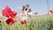 Poppy field and in love couple