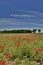 Poppy Field Near Cividale