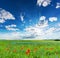 Poppy field, summer countryside landscape with blue sunny sky