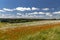 Poppy field, Vysoocina near Zdar nad Sazavou, Czech Republic