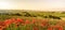 Poppy flower field in beautiful landscape scenery of Tuscany in Italy, Podere Belvedere in Val d Orcia Region - travel destination