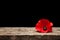 Poppy flower on old beautiful high grain, detailed wood on black background.