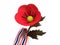 Poppy flower for the Thai Veterans Day