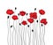 Poppy flowers and buds. Floral pattern in black and red.