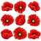 Poppy flowers icons set. Vector isolated botanical symbols of blooming red poppies blossoms. Floral bouquets or springtime flouris