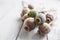 Poppy heads freely lying on a wooden board