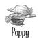 Poppy heads and seeds. Vector black vintage engraved