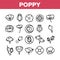 Poppy Natural Flower Collection Icons Set Vector