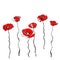 Poppy nature flower vector plant pattern