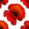 Poppy seamless pattern