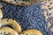 Poppy seed coating dried bagels on the table