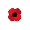 Poppy vector flower memorial symbol world war icon