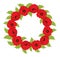 Poppy Wreath on White Background. Vector Poppies Wreath