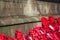 Poppy wreathes at Liverpool cenotaph