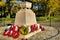 Poppy Wreaths laid at a War Memorial