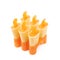 Popsicle ice lolly form molds isolated