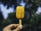 popsicle melt pictures