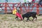 Popular bullfights (Toros de Pueblo)