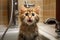 Popular cat memes brought to life, capturing the internet\\\'s most beloved feline humor. Generative AI
