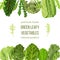 Popular Green leafy vegetables card template. Vegetable frame top and bottom. text, copy space. Spinach, Dandelion