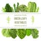 Popular Green leafy vegetables. Label set with text on stripe. text, copt space. farm fresh Spinach, Dandelion, broccoli