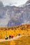 Popular Hiking Trail in the Canadian Rockies