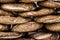 Popular kind of small breads in Turkey called Simit are arranged in rows one on the other,close shot